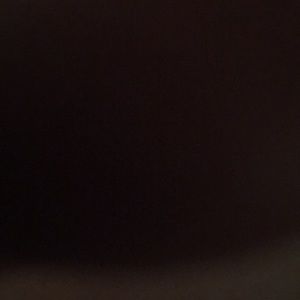 Meet your Posher, Donald